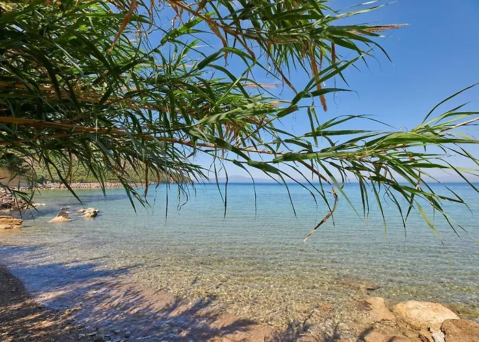 Cape Kitries 公寓 *